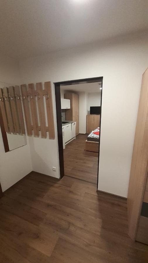 Apartmany Radost Kovářská Εξωτερικό φωτογραφία